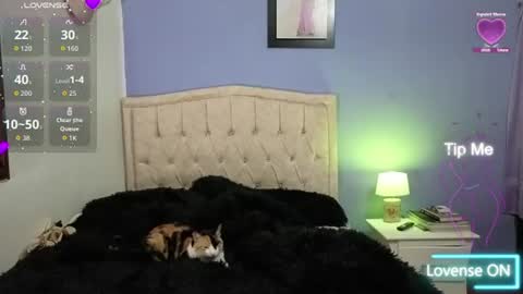 Snapshot of stephania_t chatting on June 11, 2026, 2:11 am Stephania online show from June 11, 2026, 2:11 am