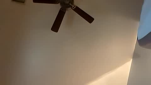 sterng123 online show from October 20, 2025, 3:51 am