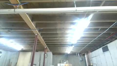 steved6001 online show from November 26, 2025, 5:47 pm