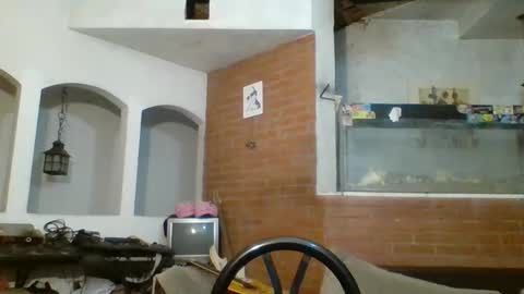 stevenson988 online show from January 27, 2025, 2:10 am