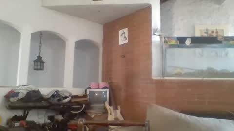 stevenson988 online show from February 15, 2025, 6:44 pm