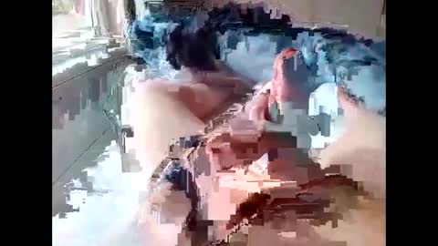 stevie_y19 online show from February 14, 2025, 9:34 am