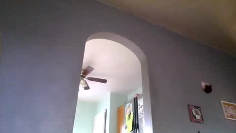 stickyredfunsize online show from November 4, 2025, 2:05 pm