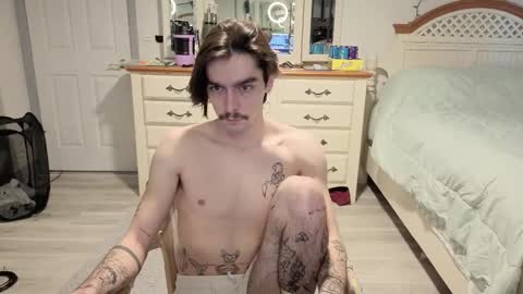 Snapshot of str8whiteboy21 chatting on February 17, 2026, 8:04 pm str8whiteboy21 online show from February 17, 2026, 8:04 pm