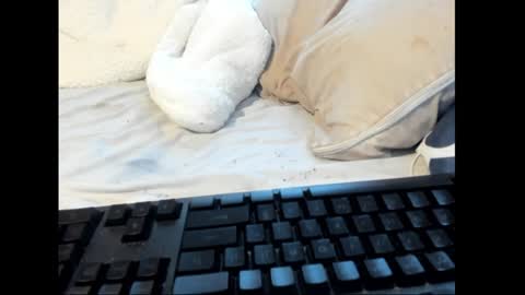 strawboy300 online show from January 26, 2025, 8:45 pm