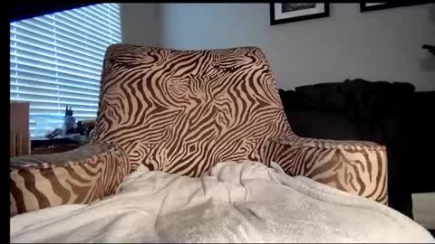 JVCKRABBIT online show from September 16, 2025, 2:51 pm