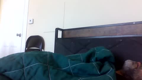 strictdaddy13 online show from February 21, 2025, 2:38 pm