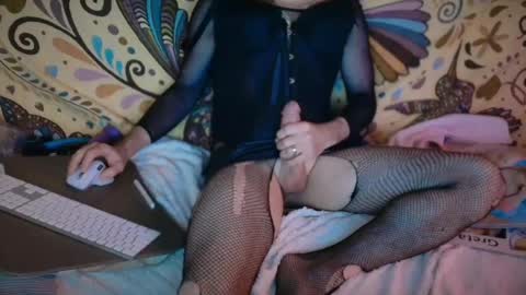 stseal3 online show from April 26, 2026, 4:21 am