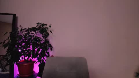 Mary online show from December 18, 2024, 1:45 pm