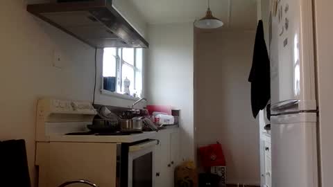 stugo1964 online show from September 24, 2025, 3:43 am