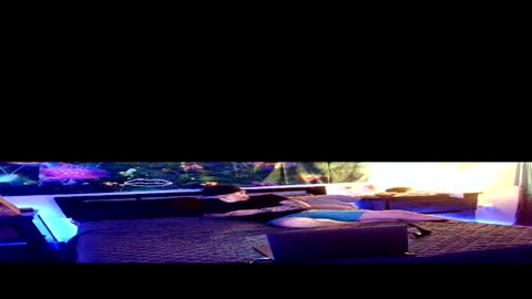 Stycock88 online show from March 2, 2026, 4:25 am