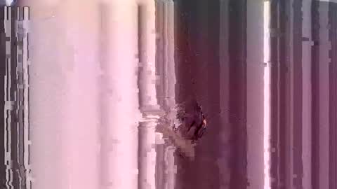 ControlMeViaTeamviewer online show from December 3, 2024, 10:28 am