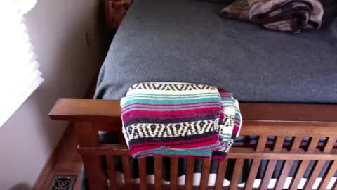 Submitted4u online show from January 12, 2025, 6:59 pm