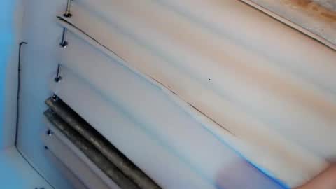 Dianna online show from October 30, 2025, 11:44 am