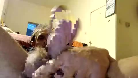 suckmeplease70 online show from April 26, 2026, 4:21 am