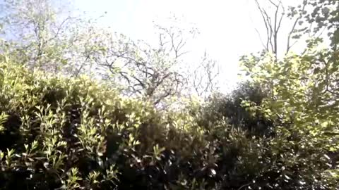 sucrette5629 online show from April 25, 2026, 1:14 pm