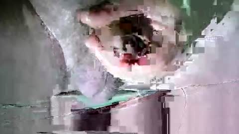 Martin sweetboy online show from October 20, 2025, 11:38 pm