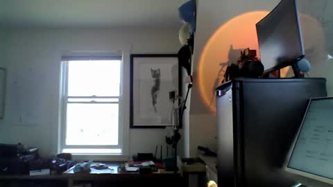 Sugar online show from April 18, 2026, 8:42 pm