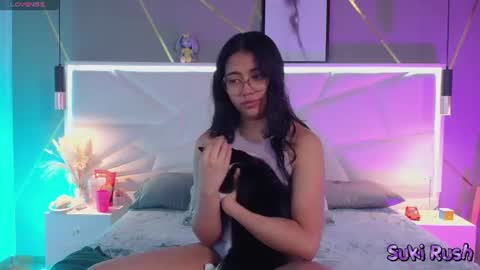 SUKI online show from July 15, 2026, 11:37 am