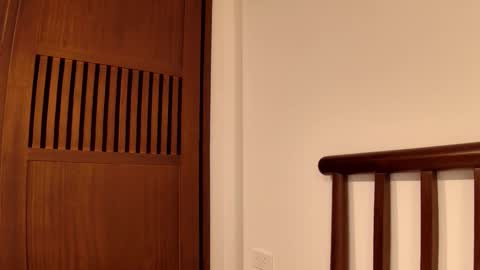 luna online show from November 29, 2025, 2:20 pm