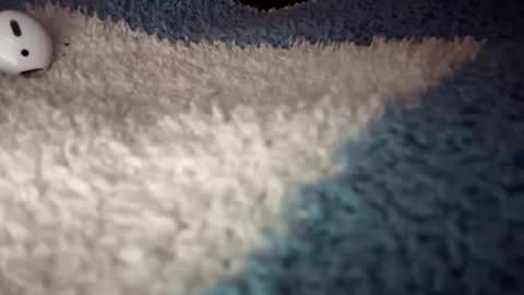 Sofie online show from September 9, 2025, 4:56 am