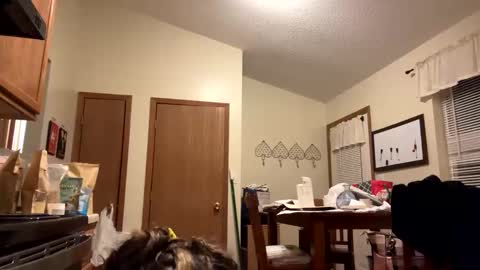 sunnbabe92485 online show from September 11, 2025, 2:44 am