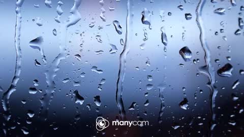 sven online show from January 12, 2026, 6:24 pm