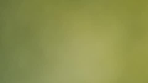 Annie online show from December 19, 2024, 12:56 am