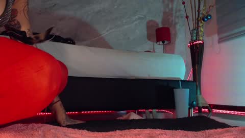    online show from December 17, 2024, 10:54 pm