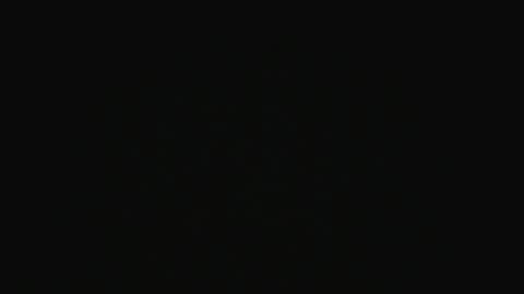 Swakken online show from December 16, 2024, 7:43 pm