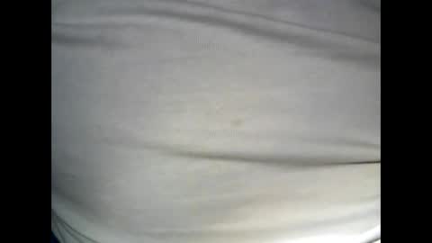 Snapshot of swedfred1 chatting on December 26, 2024, 4:53 am Brad online show from December 26, 2024, 4:53 am