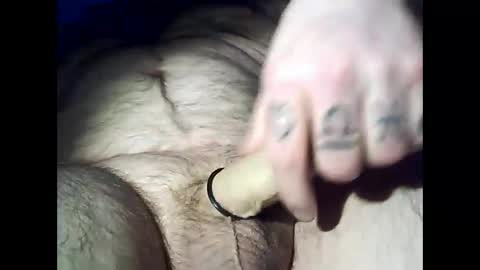 Snapshot of swedfred1 chatting on December 28, 2024, 3:47 am Brad online show from December 28, 2024, 3:47 am