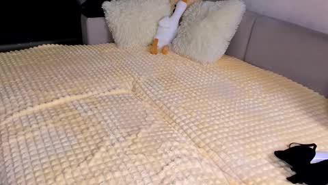 Alice online show from November 15, 2025, 3:52 pm