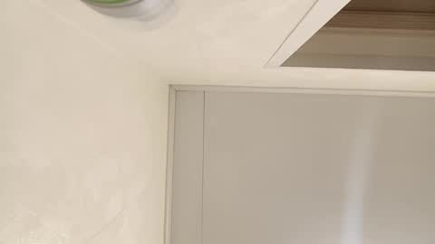 Samanta online show from February 14, 2025, 10:17 am