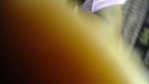 Snapshot of sweet_kush chatting on June 22, 2026, 5:15 am Kush online show from June 22, 2026, 5:15 am