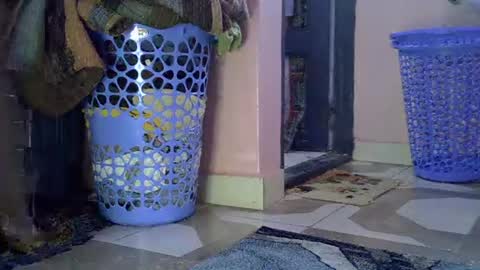 Snapshot of sweet_monalisa93 chatting on February 1, 2026, 8:13 am Lisa online show from February 1, 2026, 8:13 am