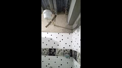 Nhaomy online show from December 19, 2025, 8:16 pm