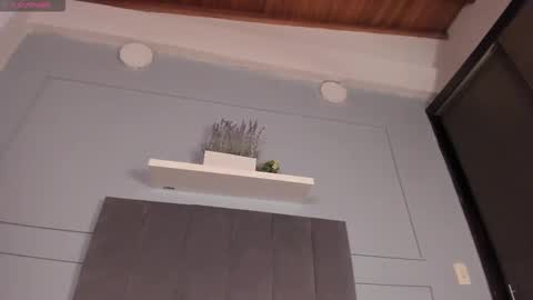 sea  online show from October 10, 2025, 12:26 pm