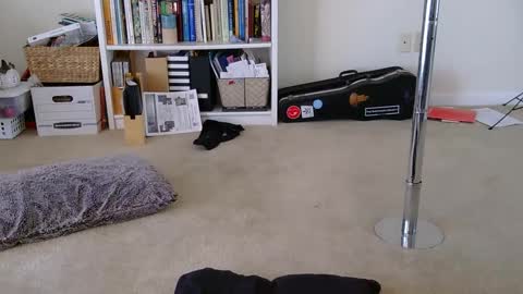 Heidi Brenner - Please check bio for schedule  FAQ online show from January 28, 2025, 4:41 pm