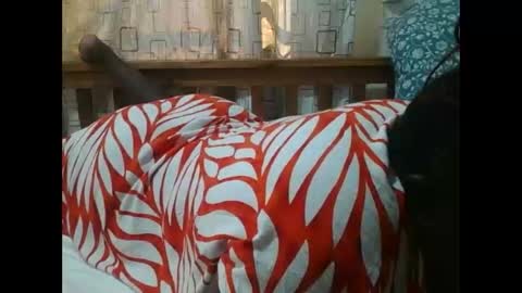 MELVIN online show from November 25, 2025, 7:08 am