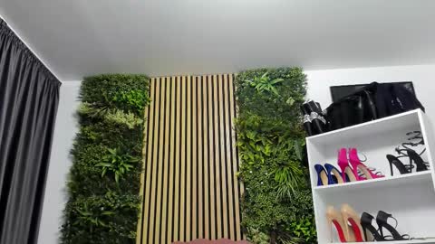 Cherry online show from February 6, 2026, 7:23 am