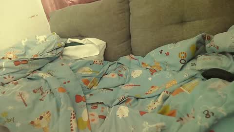 Stacy online show from January 2, 2025, 2:13 pm