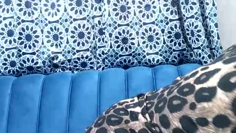 Snapshot of sweetgal11 chatting on July 3, 2026, 10:32 am sweetgal11 online show from July 3, 2026, 10:32 am