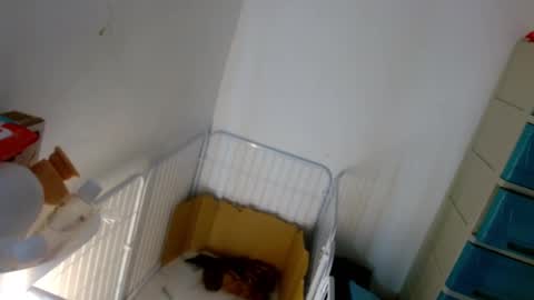 Lilly online show from January 7, 2025, 5:20 pm