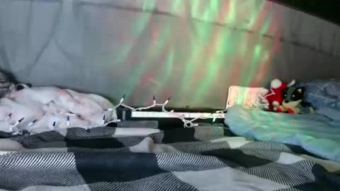 April online show from January 12, 2026, 9:03 am