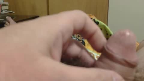 Snapshot of sweetrevengelol chatting on December 19, 2025, 9:33 pm SweetRevenge online show from December 19, 2025, 9:33 pm