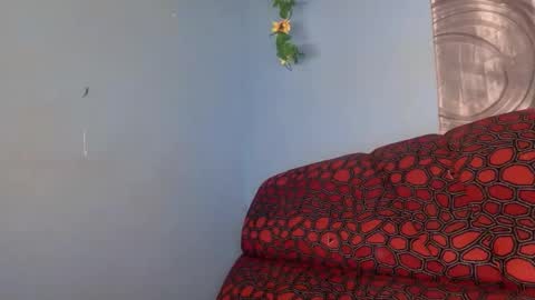 spicy online show from April 16, 2026, 8:04 am