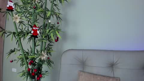    online show from December 29, 2024, 10:36 pm