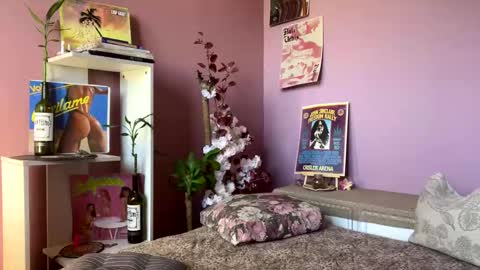 swettcabol online show from January 28, 2025, 5:35 pm