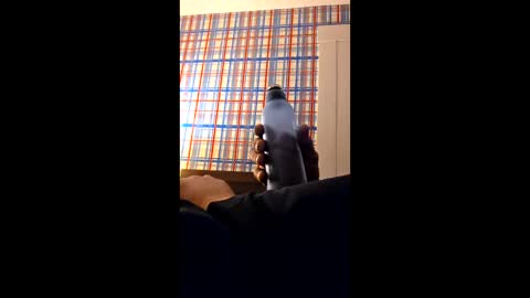 swinginghammer1987 online show from March 30, 2026, 8:04 am